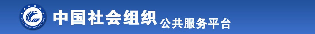 www.成人电影.bby全国社会组织信息查询